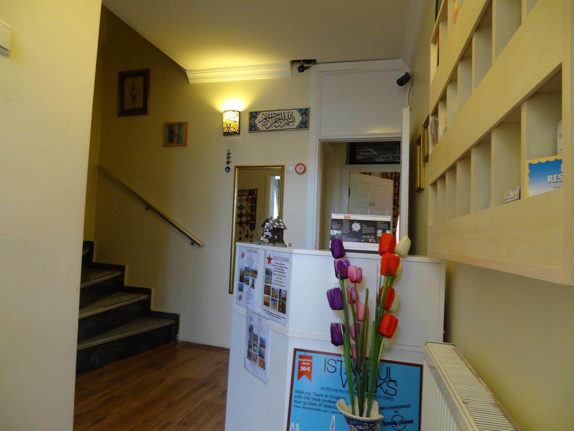 Maison d'hôtes Tulip